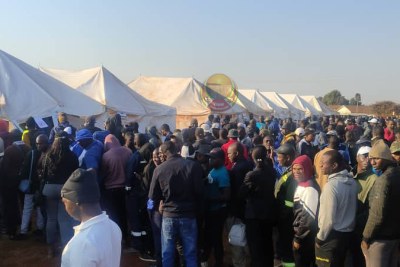 Crowds gather to cast their votes in Zimbabwe's general elections.